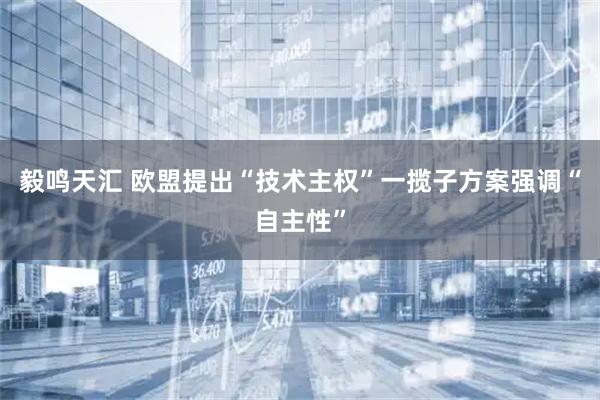 毅鸣天汇 欧盟提出“技术主权”一揽子方案　强调“自主性”